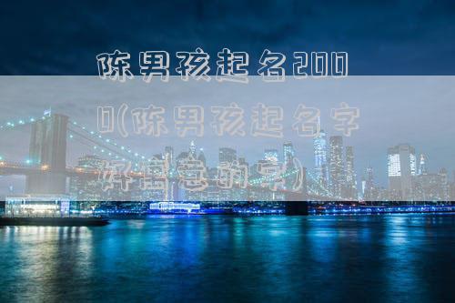 陈男孩起名2000(陈男孩起名字好寓意的字)