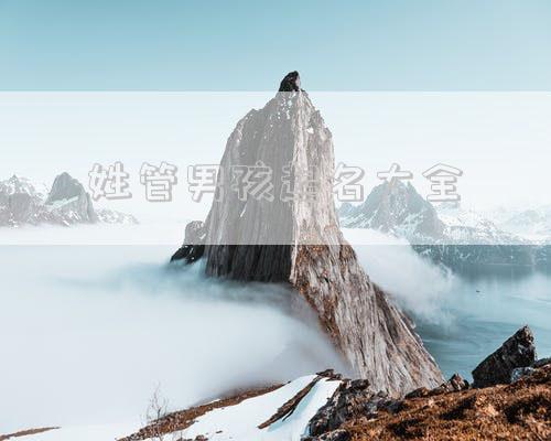 姓管男孩起名大全