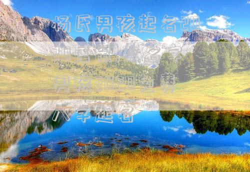 杨氏男孩起名2020属鼠,改名字男孩2020免费八字起名