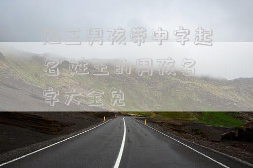 姓王男孩带中字起名 姓王的男孩名字大全免