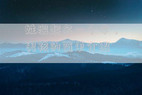 姓温起名一个字，男孩的简单介绍