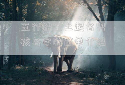 五行缺金土起名男孩名字的简单介绍