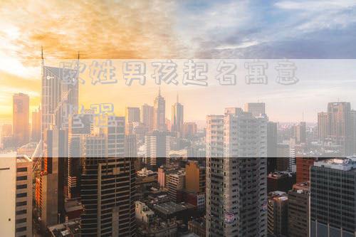 欧姓男孩起名寓意坚强