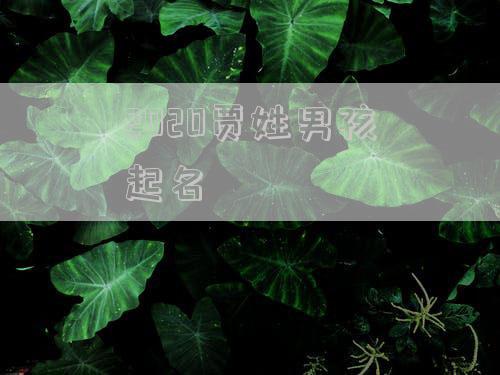 2020贾姓男孩起名
