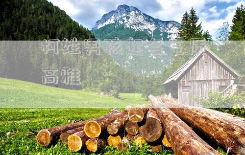 柯姓男孩起名气质高雅