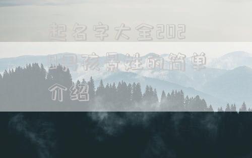 起名字大全2020男孩景姓的简单介绍