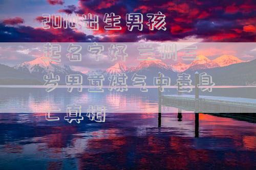 2010出生男孩起名字好 兰州三岁男童煤气中毒身亡真相