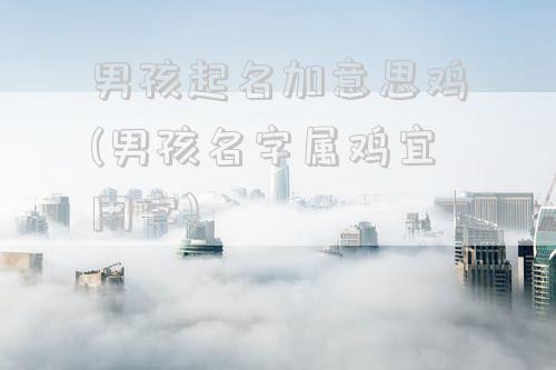 男孩起名加意思鸡(男孩名字属鸡宜用字)