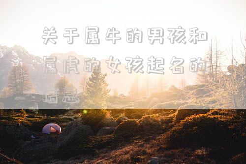 关于属牛的男孩和属虎的女孩起名的信息