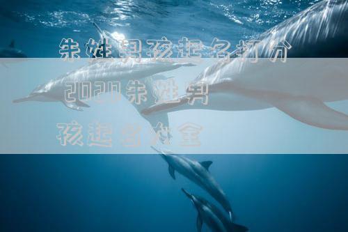 朱姓男孩起名打分 2020朱姓男孩起名大全