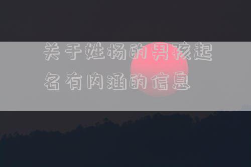关于姓杨的男孩起名有内涵的信息