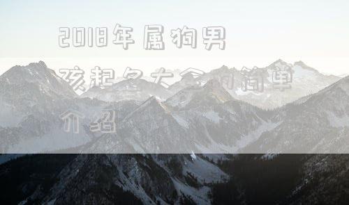 2018年属狗男孩起名大全的简单介绍