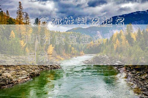 包含祁姓男孩起名100分虎宝宝的词条