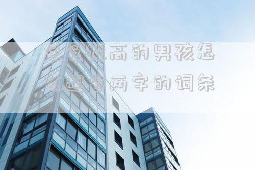 包含姓高的男孩怎么起名两字的词条