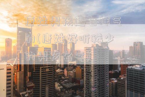 唐姓男孩起名洋气的(唐姓好听稀少的男孩名字)
