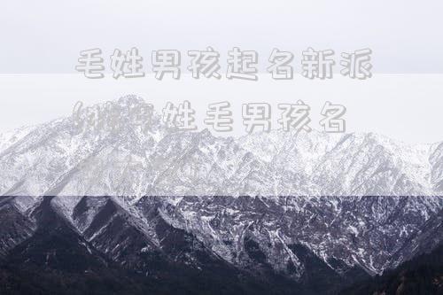 毛姓男孩起名新派(猪年姓毛男孩名字大全)