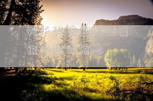 关于男孩起名姓冀银字辈的信息