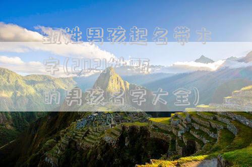 甄姓男孩起名带木字(2021姓甄的男孩名字大全)