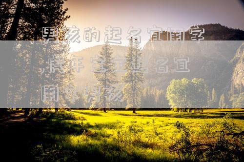 男孩的起名宜用字,虎年宝宝起名宜用字男孩