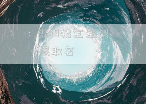 2019猪宝宝男孩取名