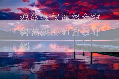 鸡年宝宝起名大全男孩姓冉的简单介绍