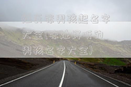 姓氏张男孩起名字大全(张姓好听的男孩名字大全)