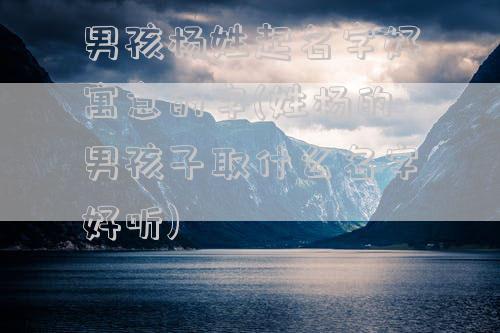 男孩杨姓起名字好寓意的字(姓杨的男孩子取什么名字好听)