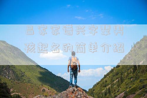 吕家家谱兴字辈男孩起名的简单介绍