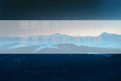 姓梅起名姓梅男孩起名字的简单介绍