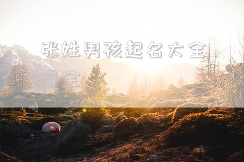 张姓男孩起名大全带金
