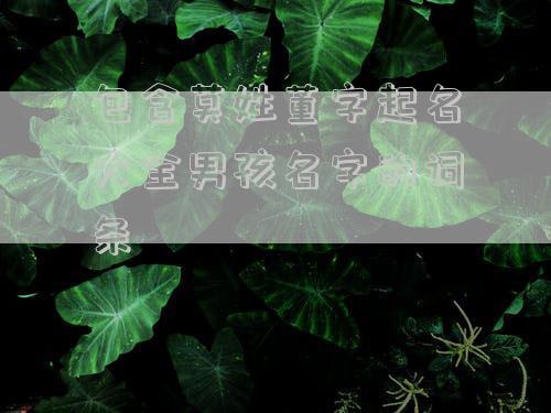 包含莫姓董字起名大全男孩名字的词条