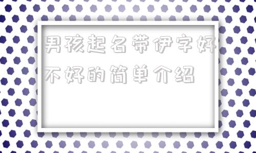 男孩起名带伊字好不好的简单介绍