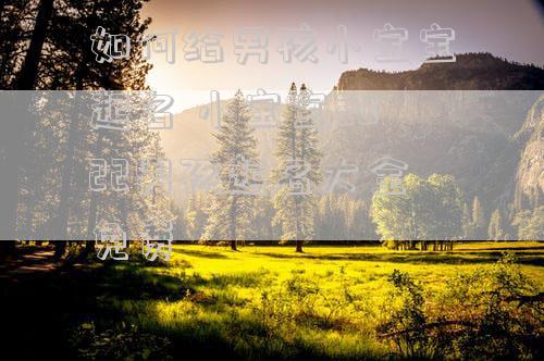 如何给男孩小宝宝起名 小宝宝2022男孩起名大全免费