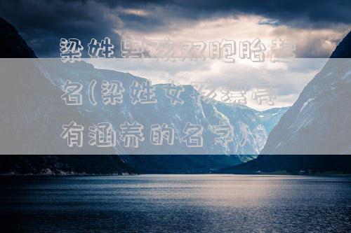梁姓男孩双胞胎起名(梁姓女孩漂亮有涵养的名字)
