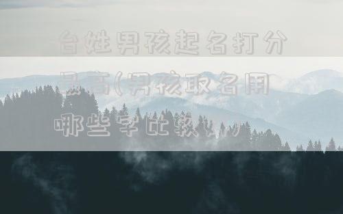 台姓男孩起名打分最高(男孩取名用哪些字比较好)