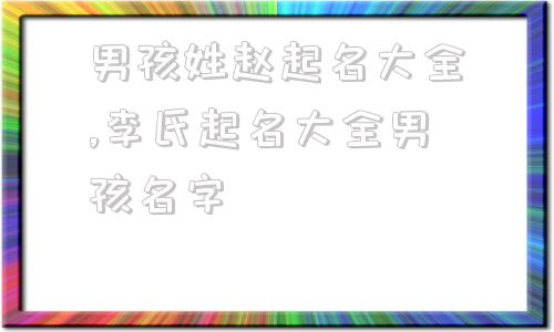 男孩姓赵起名大全,李氏起名大全男孩名字