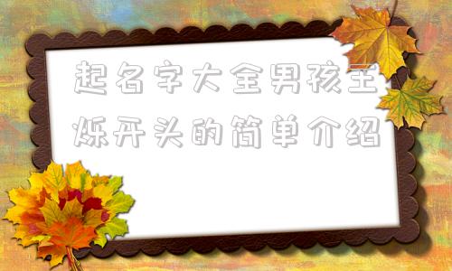 起名字大全男孩王烁开头的简单介绍
