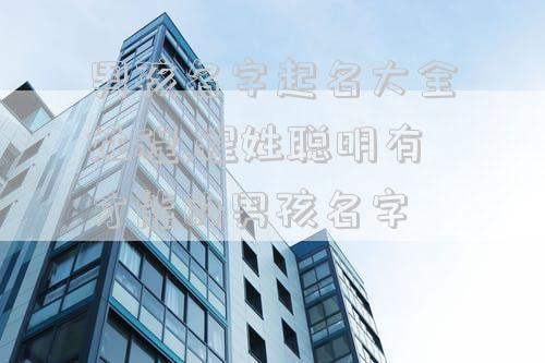 男孩名字起名大全姓程,程姓聪明有才能的男孩名字