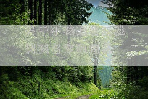 关于小孩起名王姓男孩名字的信息
