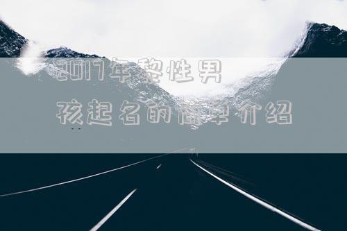 2017年黎性男孩起名的简单介绍