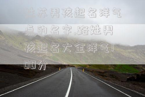 姓苏男孩起名洋气点的名字,路姓男孩起名大全洋气100分