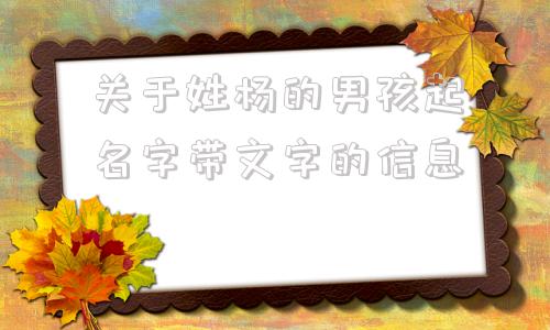 关于姓杨的男孩起名字带文字的信息
