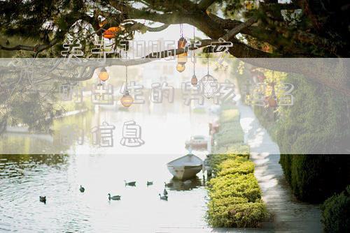 关于2006年亥时出生的男孩起名的信息