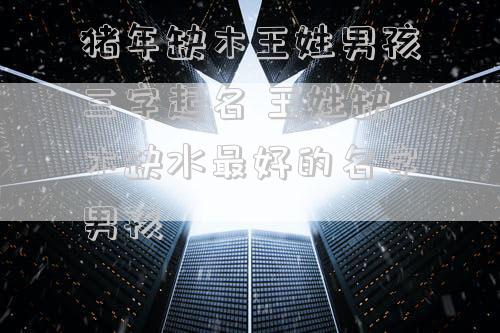 猪年缺木王姓男孩三字起名 王姓缺木缺水最好的名字男孩