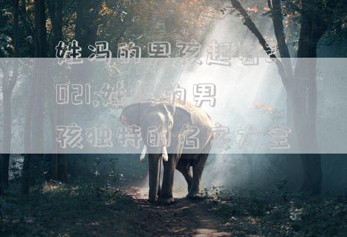 姓冯的男孩起名2021,姓冯的男孩独特的名字大全