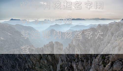 猪年男孩起名字用的字,2019猪年姓张男孩名字大全