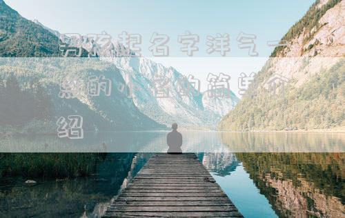 男孩起名字洋气一点的小名的简单介绍