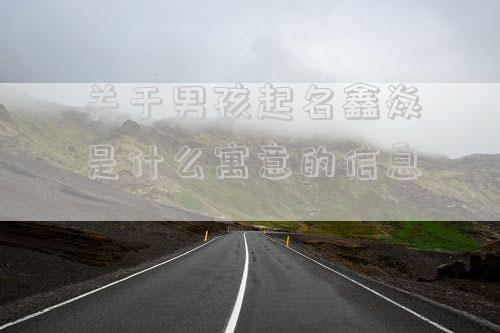 关于男孩起名鑫焱是什么寓意的信息