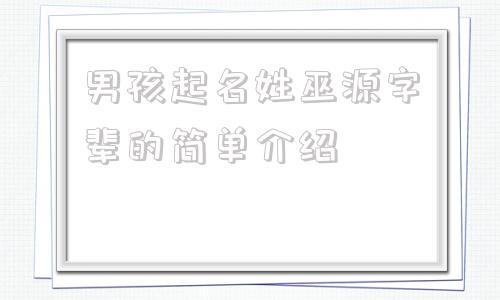 男孩起名姓巫源字辈的简单介绍