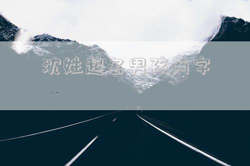 沈姓起名男孩两字